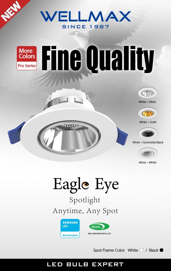 Eagle Eye Spotlight