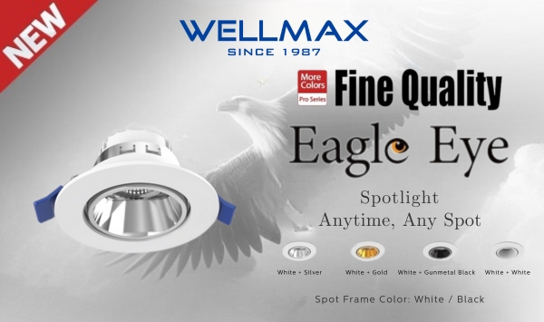 Eagle Eye Spotlight