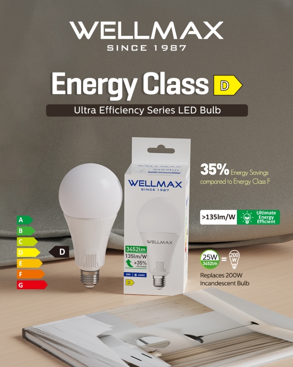 Energy Class D LED Bulb
