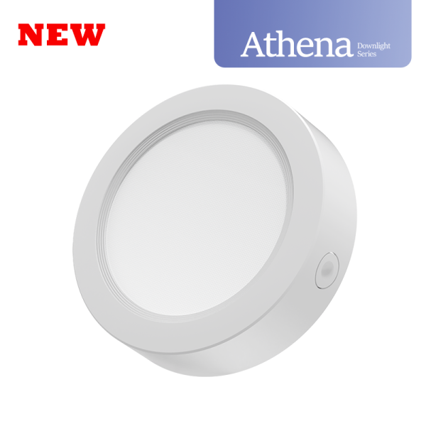 Athena Surface Downlight Series