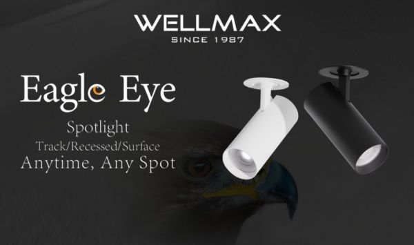 🦅 Find the Perfect Spotlight for Your Space!