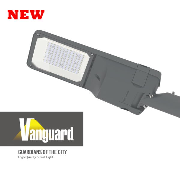 Vanguard LED Street Light