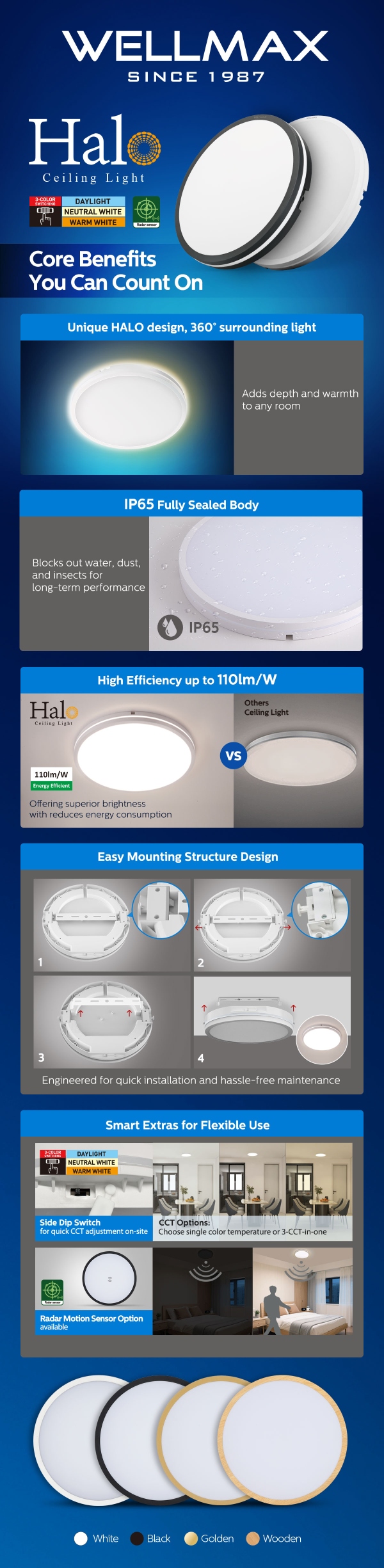 Halo Ceiling Light