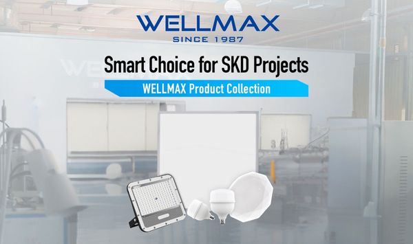 Smart Choice for SKD Projects – WELLMAX Product Collection