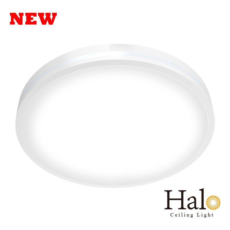 Halo Ceiling Light 3.0