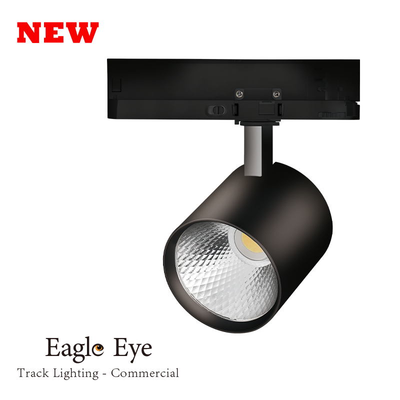 Eagle Eye Track Lighting - Commercial