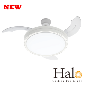 Halo Ceiling Fan Light