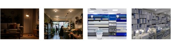 Ballet LED Bulb