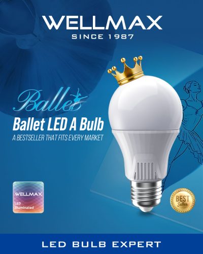 led bulb supplier