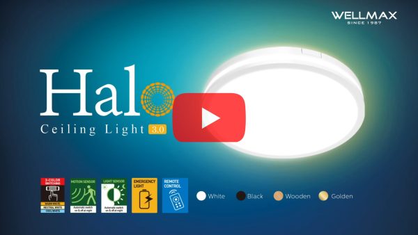Halo Ceiling Light 3.0