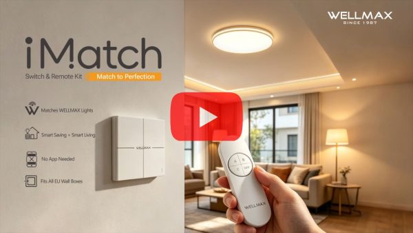 iMatch Switch & Remote Kit